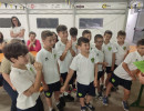 2026 06 12 pulcini  