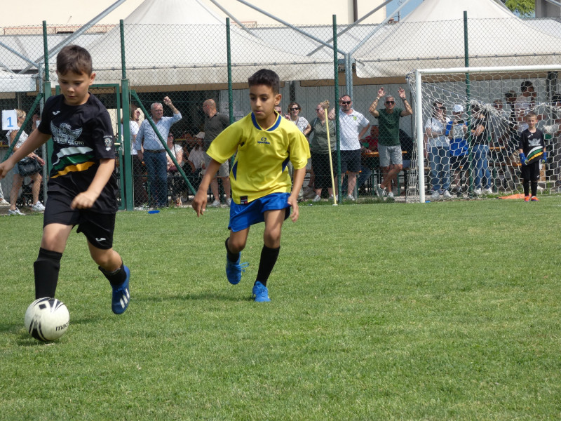 08062025sanodorico  