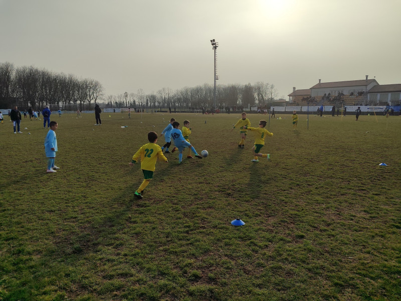 img 20250222