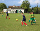 2025 09 27 torneo pulcini   2025 09 27 torneo pulcini