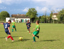 2025 09 27 torneo pulcini   2025 09 27 torneo pulcini