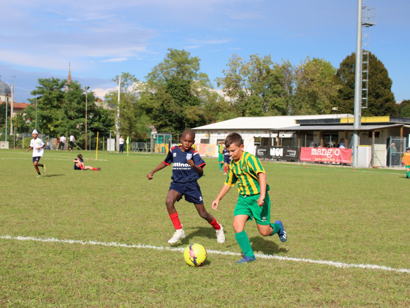 2025 09 27 torneo pulcini   2025 09 27 torneo pulcini
