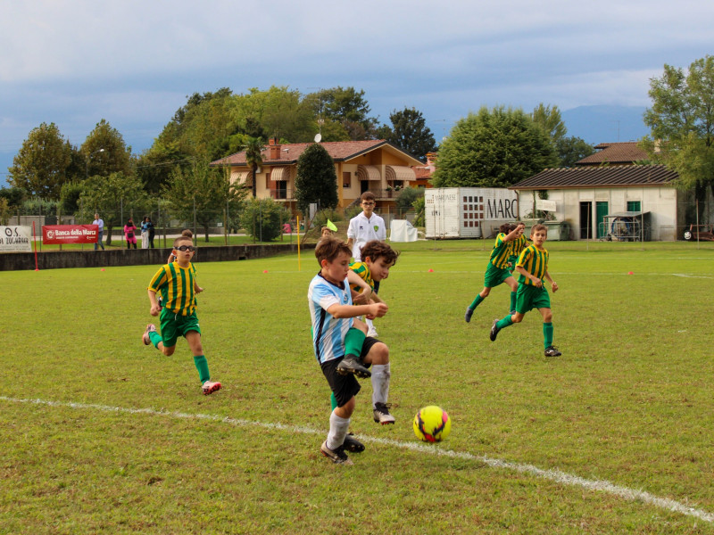 2025 09 27 torneo pulcini   2025 09 27 torneo pulcini