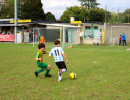 2025 09 27 torneo pulcini  