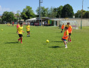 img 20260704
