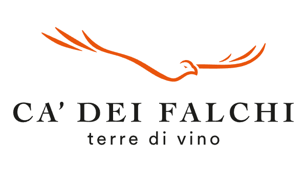 CA DE FALCHI